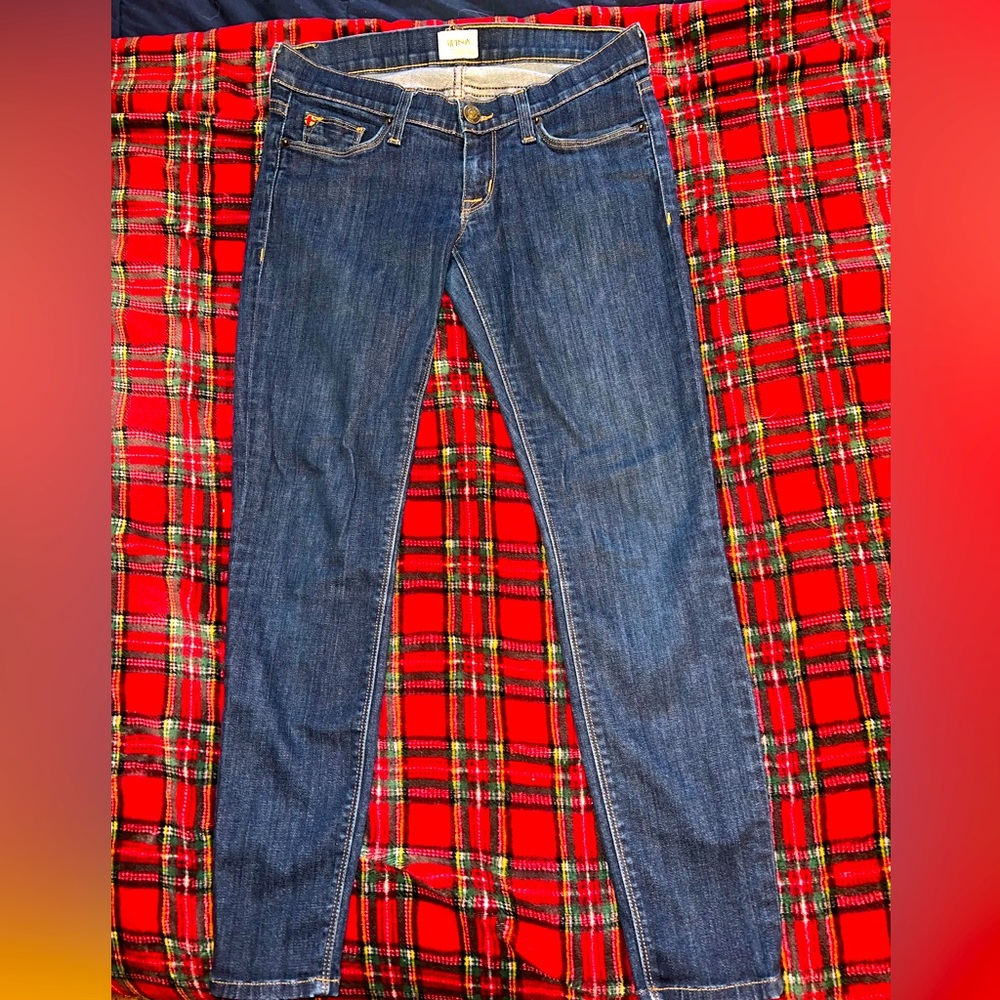 Hudson Designer Skinny Jeans